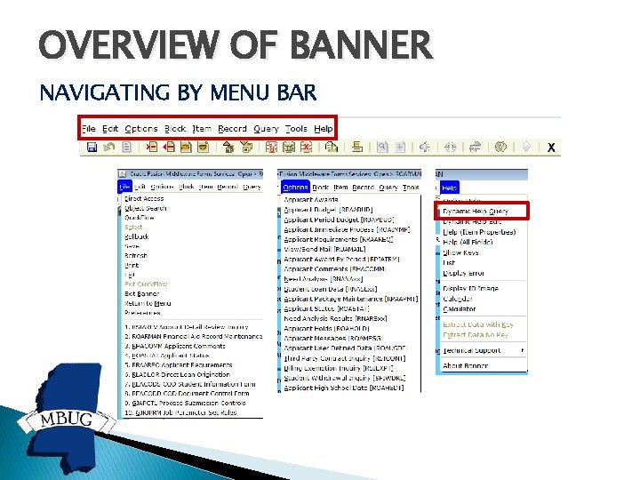 OVERVIEW OF BANNER NAVIGATING BY MENU BAR 