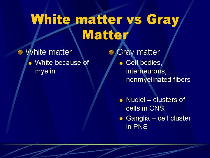 White matter vs Gray Matter White matter l White because of myelin Gray matter