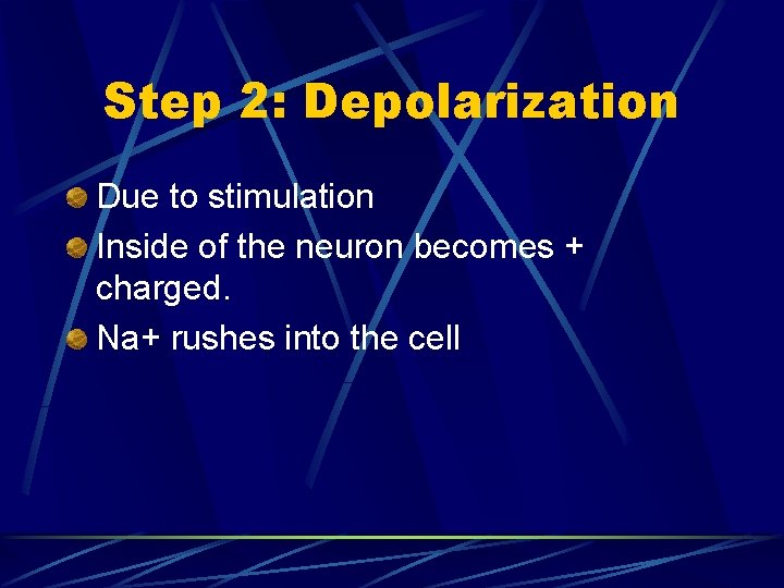 Step 2: Depolarization Due to stimulation Inside of the neuron becomes + charged. Na+