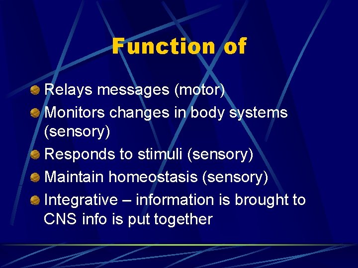 Function of Relays messages (motor) Monitors changes in body systems (sensory) Responds to stimuli