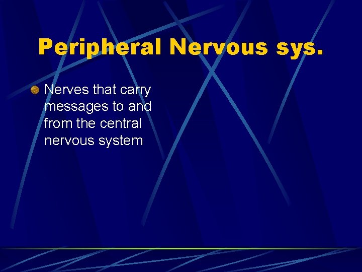 Peripheral Nervous sys. Nerves that carry messages to and from the central nervous system