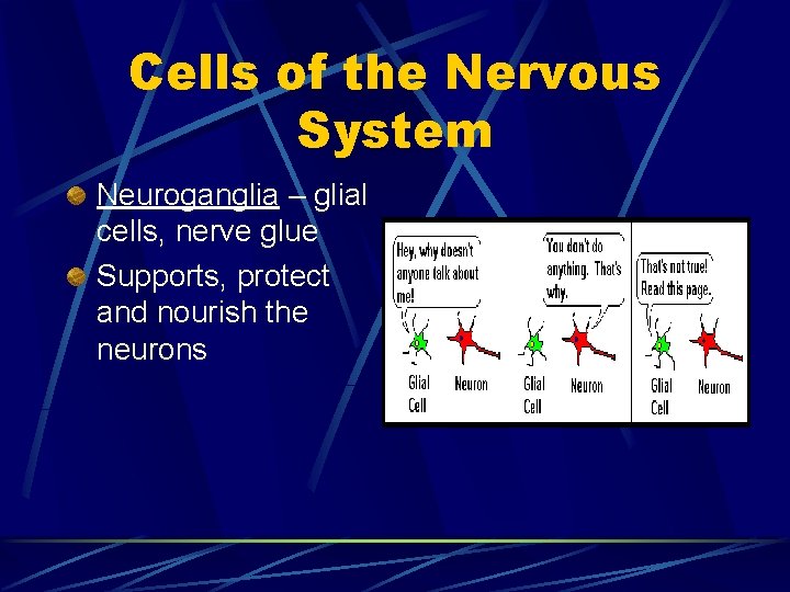 Cells of the Nervous System Neuroganglia – glial cells, nerve glue Supports, protect and