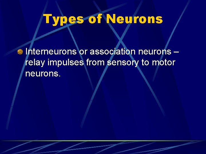 Types of Neurons Interneurons or association neurons – relay impulses from sensory to motor