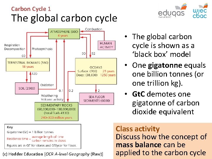 Carbon Cycle 1 The global carbon cycle • The global carbon cycle is shown