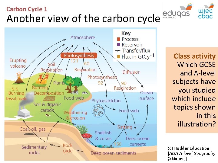 Carbon Cycle 1 Another view of the carbon cycle Class activity Which GCSE and