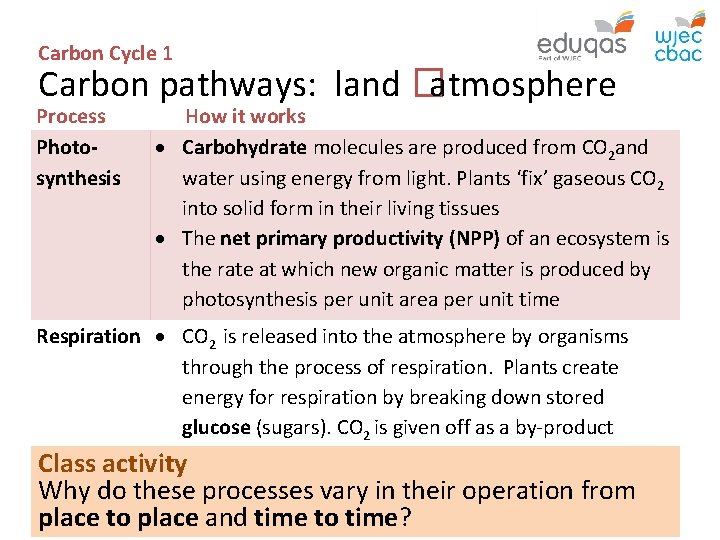 Carbon Cycle 1 Carbon pathways: land � atmosphere Process Photosynthesis How it works Carbohydrate