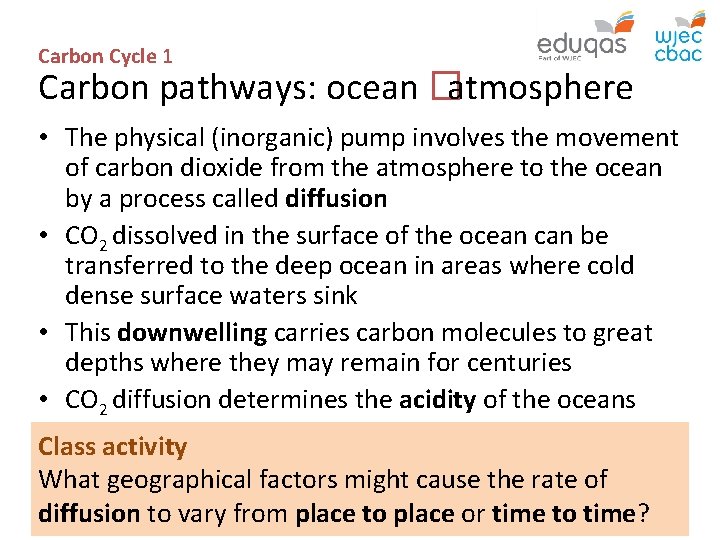 Carbon Cycle 1 Carbon pathways: ocean � atmosphere • The physical (inorganic) pump involves