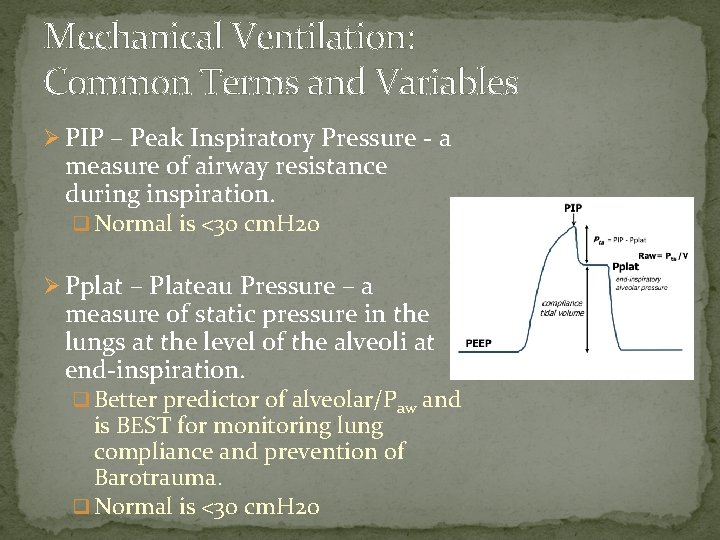 Mechanical Ventilation: Common Terms and Variables Ø PIP – Peak Inspiratory Pressure - a