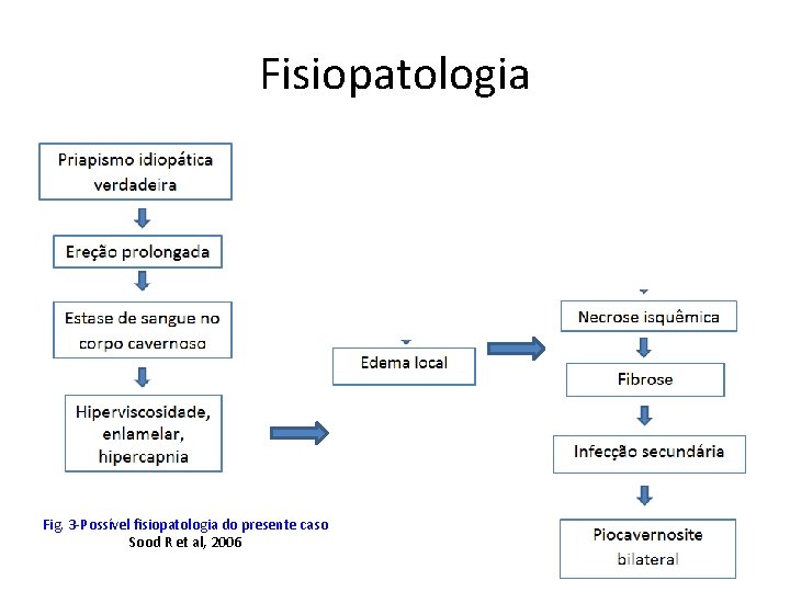 Fisiopatologia Fig. 3 -Possível fisiopatologia do presente caso Sood R et al, 2006 