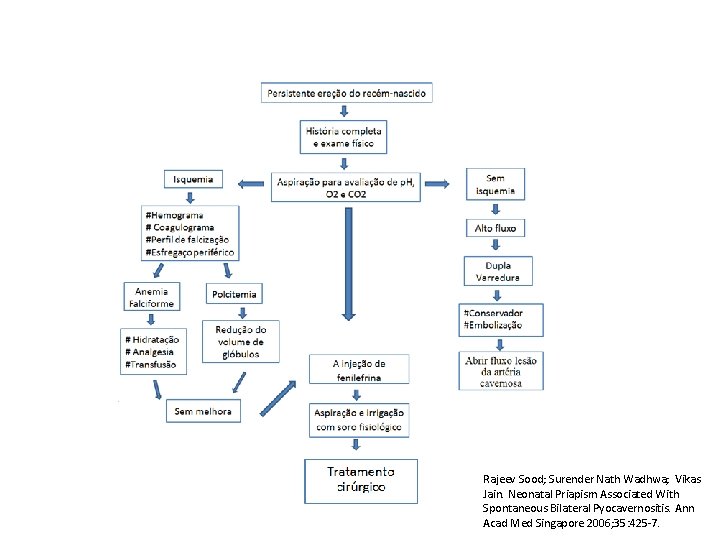 Rajeev Sood; Surender Nath Wadhwa; Vikas Jain. Neonatal Priapism Associated With Spontaneous Bilateral Pyocavernositis.