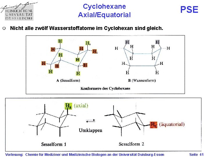 Cyclohexane Axial/Equatorial PSE Nicht alle zwölf Wasserstoffatome im Cyclohexan sind gleich. Vorlesung: Chemie für