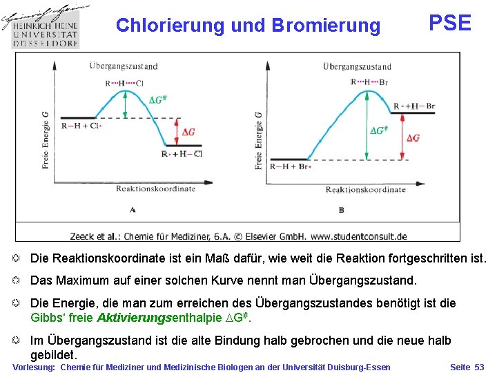 Chlorierung und Bromierung PSE Die Reaktionskoordinate ist ein Maß dafür, wie weit die Reaktion