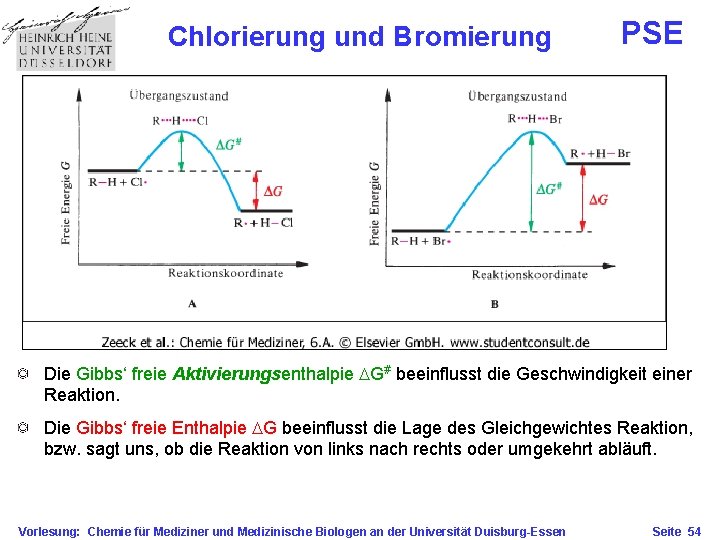 Chlorierung und Bromierung PSE Die Gibbs‘ freie Aktivierungsenthalpie DG# beeinflusst die Geschwindigkeit einer Reaktion.