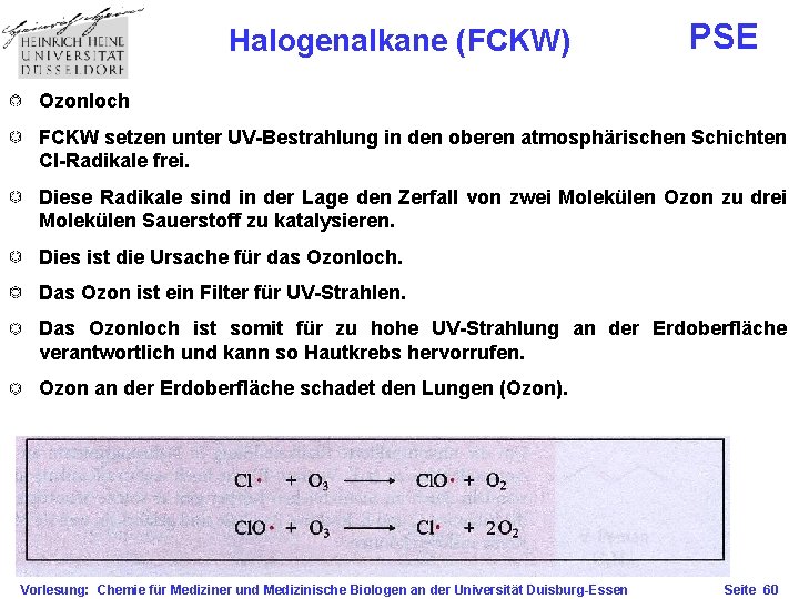 Halogenalkane (FCKW) PSE Ozonloch FCKW setzen unter UV-Bestrahlung in den oberen atmosphärischen Schichten Cl-Radikale