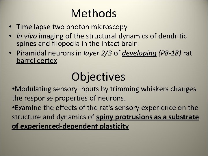 Methods • Time lapse two photon microscopy • In vivo imaging of the structural