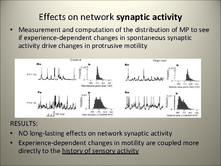 Effects on network synaptic activity • Measurement and computation of the distribution of MP