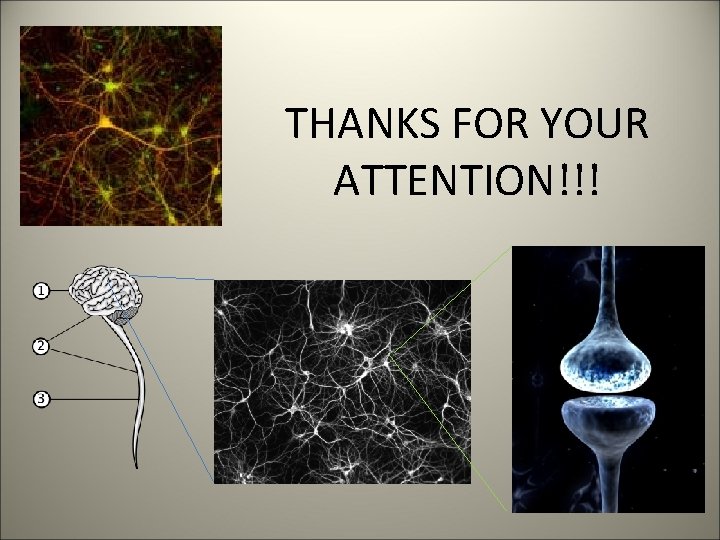 THANKS FOR YOUR ATTENTION!!! 