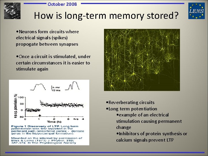 October 2008 How is long-term memory stored? • Neurons form circuits where electrical signals