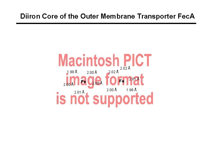 Diiron Core of the Outer Membrane Transporter Fec. A 1. 98 Å 2. 00