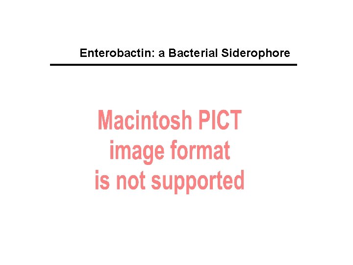 Enterobactin: a Bacterial Siderophore 