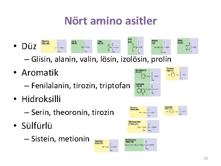 Nört amino asitler • Düz – Glisin, alanin, valin, lösin, izolösin, prolin • Aromatik