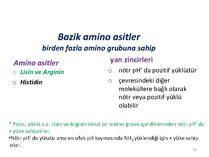 Bazik amino asitler birden fazla amino grubuna sahip yan zincirleri Amino asitler o Lisin