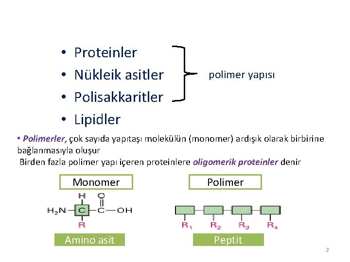  • • Proteinler Nükleik asitler Polisakkaritler Lipidler polimer yapısı • Polimerler, çok sayıda