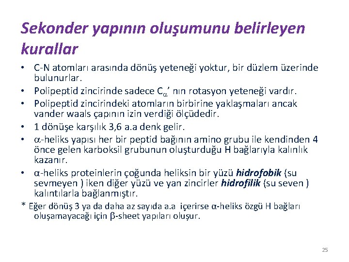 Sekonder yapının oluşumunu belirleyen kurallar • C-N atomları arasında dönüş yeteneği yoktur, bir düzlem