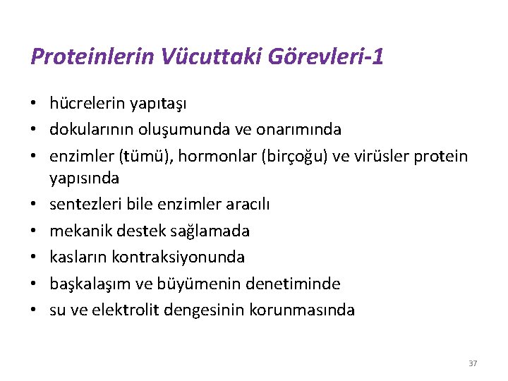 Proteinlerin Vücuttaki Görevleri-1 • hücrelerin yapıtaşı • dokularının oluşumunda ve onarımında • enzimler (tümü),