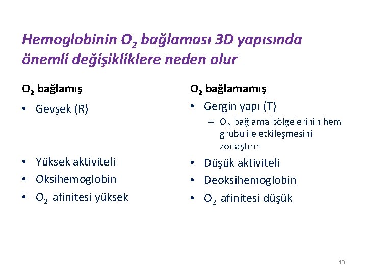 Hemoglobinin O 2 bağlaması 3 D yapısında önemli değişikliklere neden olur O 2 bağlamış