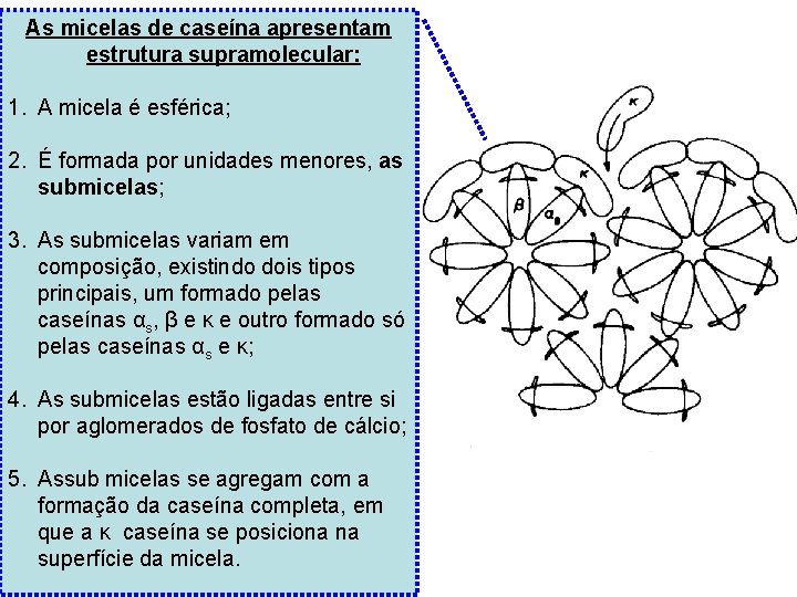 As micelas de caseína apresentam estrutura supramolecular: 1. A micela é esférica; 2. É
