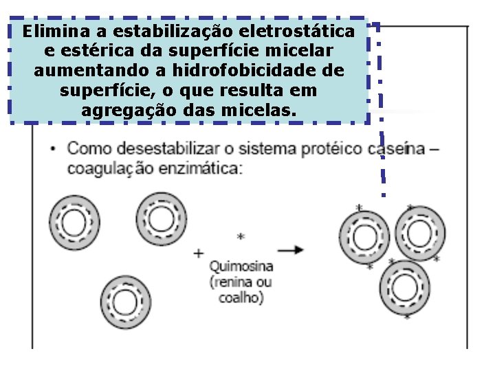 Elimina a estabilização eletrostática e estérica da superfície micelar aumentando a hidrofobicidade de superfície,