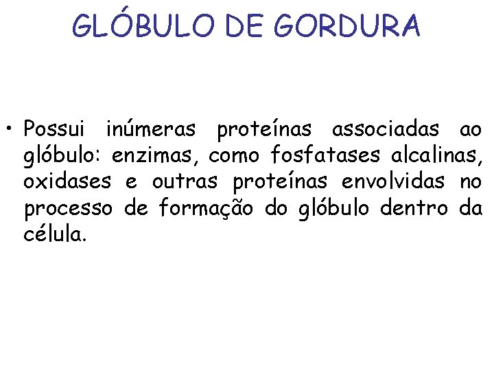 GLÓBULO DE GORDURA • Possui inúmeras proteínas associadas ao glóbulo: enzimas, como fosfatases alcalinas,