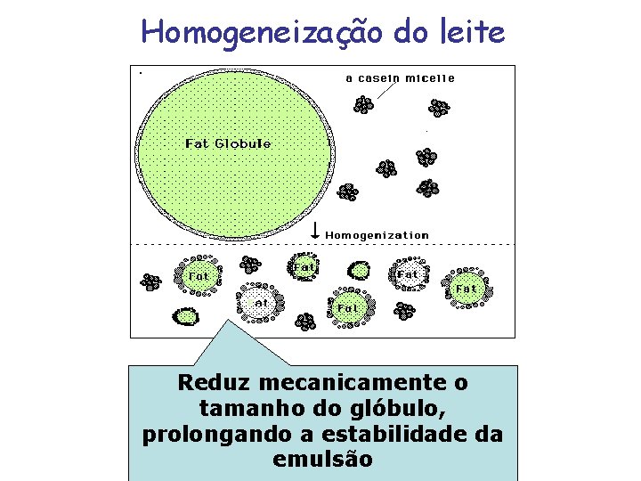 Homogeneização do leite Reduz mecanicamente o tamanho do glóbulo, prolongando a estabilidade da emulsão