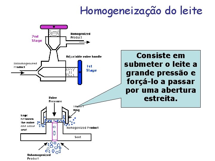 Homogeneização do leite Consiste em submeter o leite a grande pressão e forçá-lo a