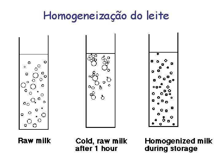 Homogeneização do leite 