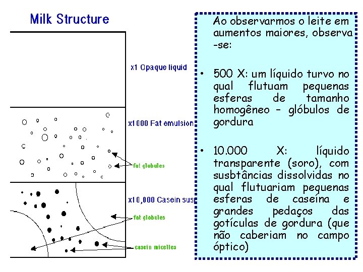 Ao observarmos o leite em aumentos maiores, observa -se: • 500 X: um líquido