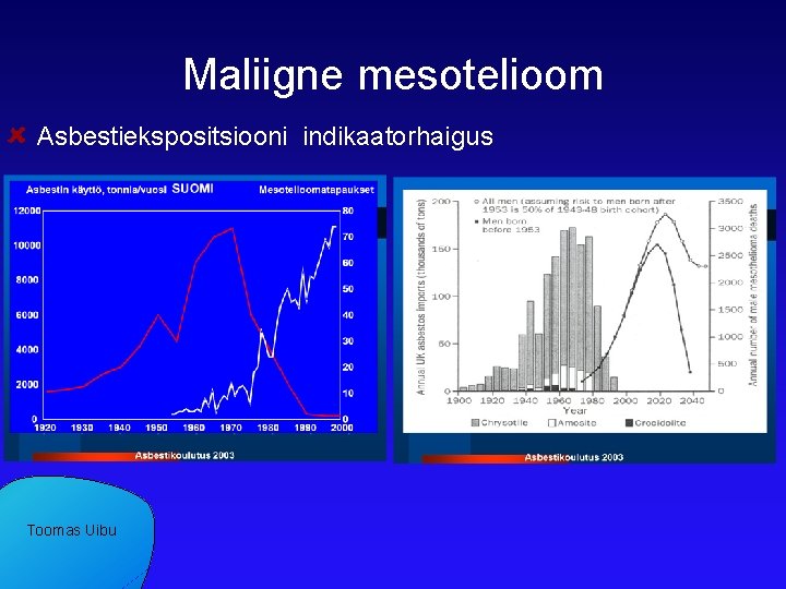 Maliigne mesotelioom Asbestiekspositsiooni indikaatorhaigus Toomas Uibu 
