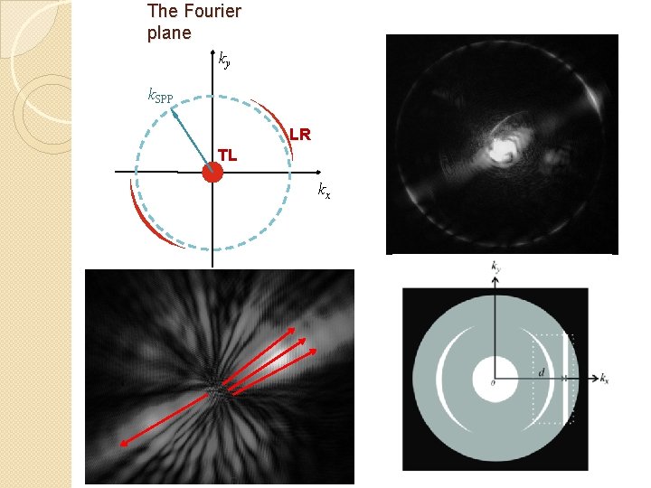 The Fourier plane ky k. SPP LR TL kx 