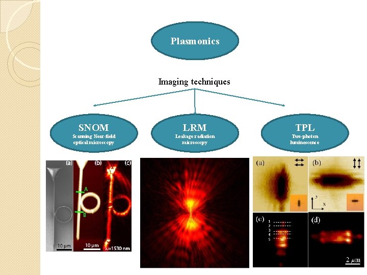 Plasmonics Imaging techniques SNOM LRM TPL Scanning Near-field optical microscopy Leakage radiation microscopy Two-photon