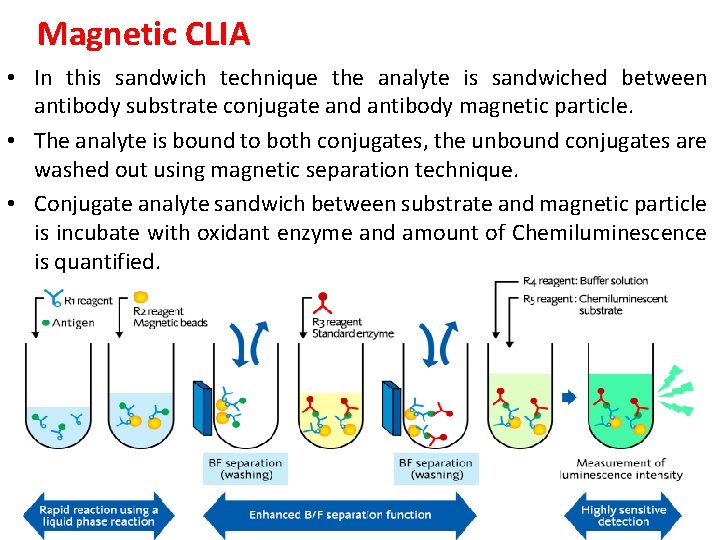 Magnetic CLIA • In this sandwich technique the analyte is sandwiched between antibody substrate