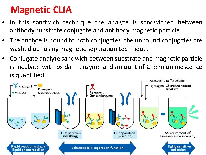 Magnetic CLIA • In this sandwich technique the analyte is sandwiched between antibody substrate Magnetic CLIA • In this sandwich technique the analyte is sandwiched between antibody substrate