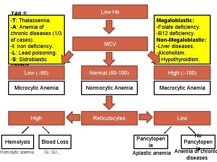 Low Hb TAILS: -T: Thalassemia. -A: Anemia of chronic diseases (1/3 of cases). -I: