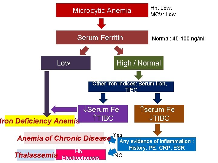 Microcytic Anemia Serum Ferritin Low Hb: Low. MCV: Low Normal: 45 -100 ng/ml High