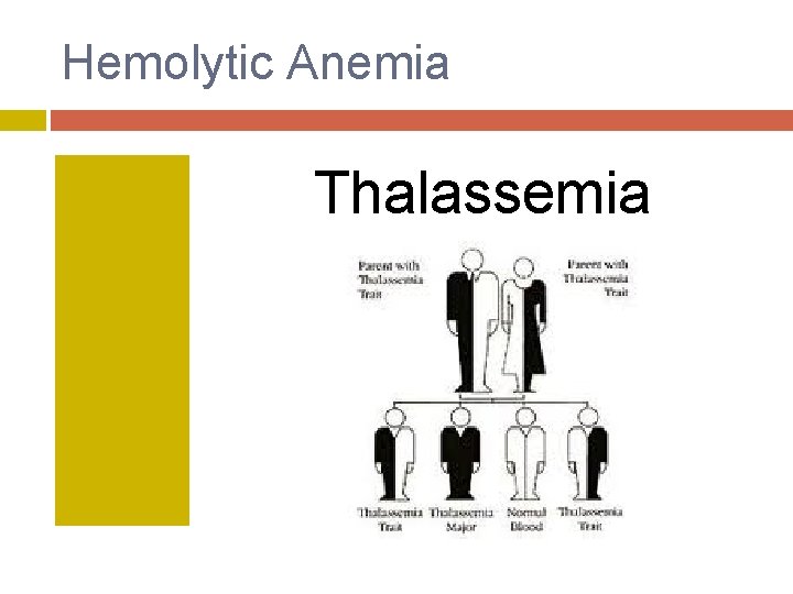 Hemolytic Anemia Thalassemia 