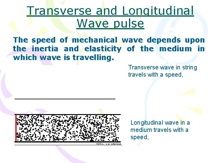 Transverse and Longitudinal Wave pulse The speed of mechanical wave depends upon the inertia