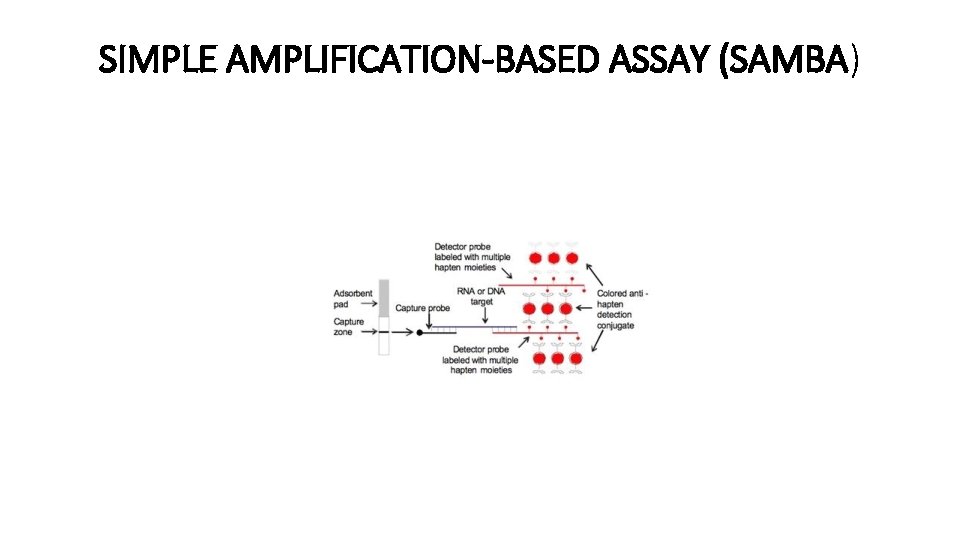 SIMPLE AMPLIFICATION-BASED ASSAY (SAMBA) 