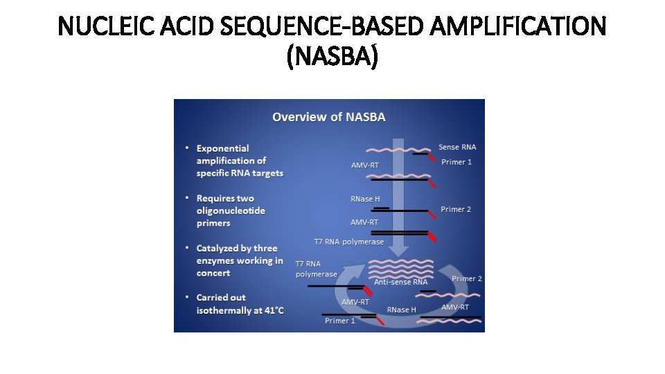 NUCLEIC ACID SEQUENCE-BASED AMPLIFICATION (NASBA) 