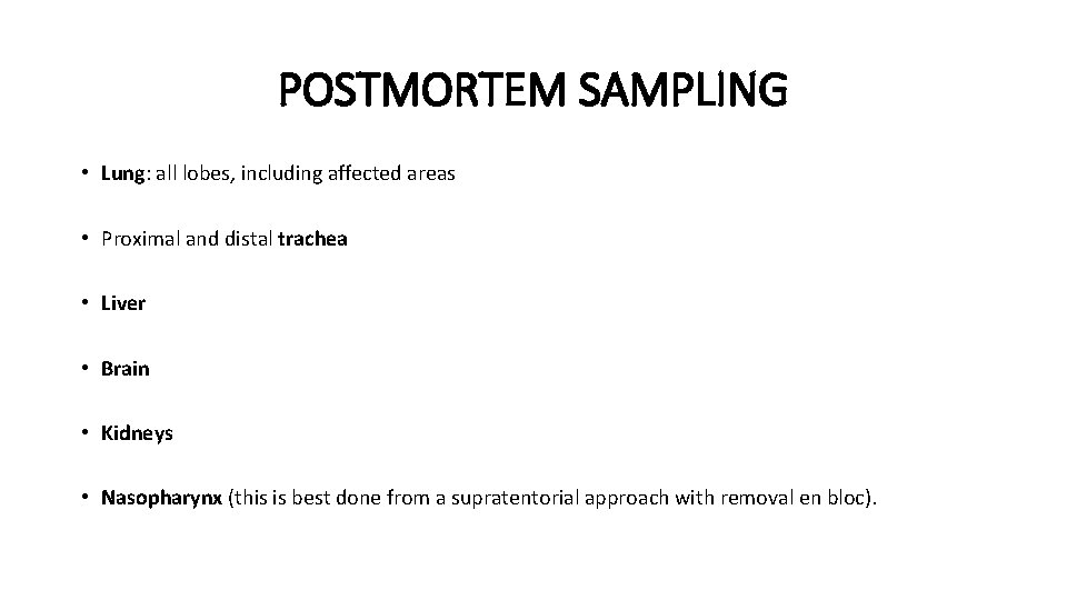 POSTMORTEM SAMPLING • Lung: all lobes, including affected areas • Proximal and distal trachea