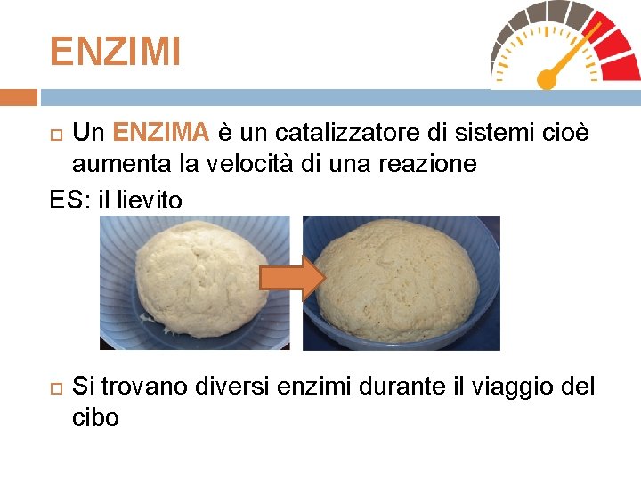 ENZIMI Un ENZIMA è un catalizzatore di sistemi cioè aumenta la velocità di una